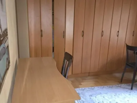 Rent, house, 250m², Sajmište, Novi Sad - image 34