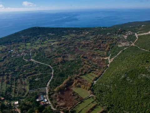 Sale, land lot, 1500m², Zagora, Kotor - image 17