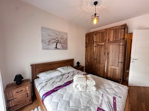 Izdavanje, jednosoban stan, 50m², Central Point, Podgorica - image 6