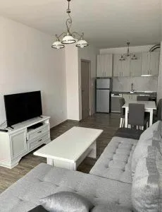Izdavanje, jednosoban stan, 45m², Tuški Put, Podgorica