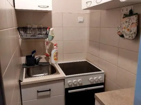 Izdavanje, jednosoban stan, 42m², Palilula Sve Podlokacije, Beograd - image 3
