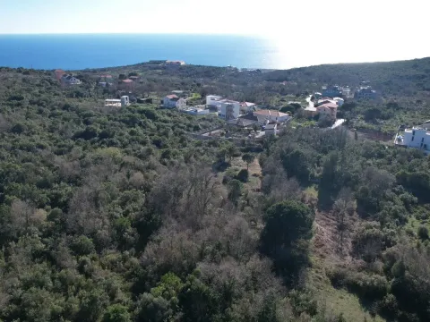 Prodaja, plac, 2450m², Krimovica, Kotor - image 17