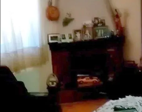 Prodaja, kuća, 457m², Mladenovac, Beograd - image 17