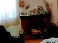 Sale, house, 457m², Mladenovac, Beograd - image 17