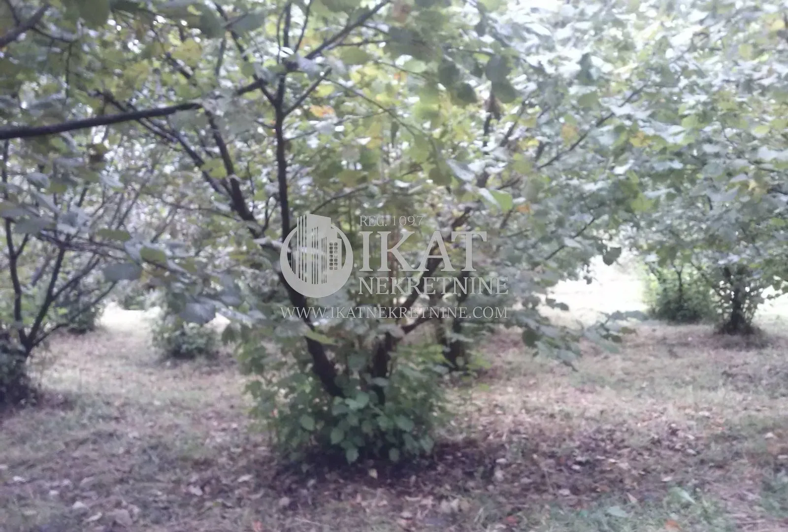 Prodaja, plac, 21500m², Pora, Užice