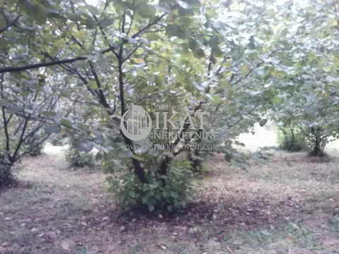 Sale, land lot, 21500m², Pora, Užice - image 3