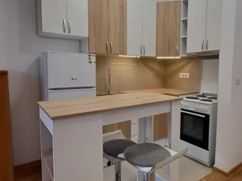 Izdavanje, garsonjera, 27m², Telep, Novi Sad Sve Podlokacije - image 3