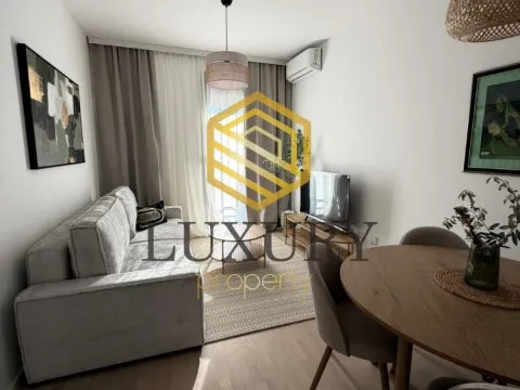 Rent, one bedroom apartment, 37m², Tološi, Podgorica - image 7