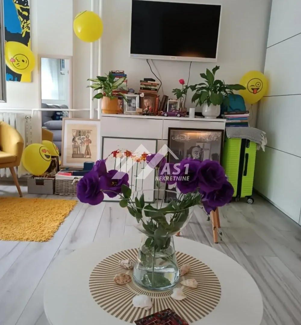 Izdavanje, stan, 25m², Liman 3, Novi Sad Sve Podlokacije