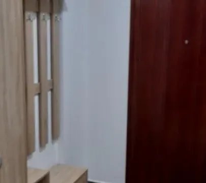 Izdavanje, garsonjera, 27m², Sajmište, Novi Sad - image 9