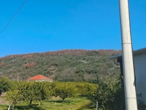 Sale, land lot, 15000m², Zoganje, Ulcinj - image 3