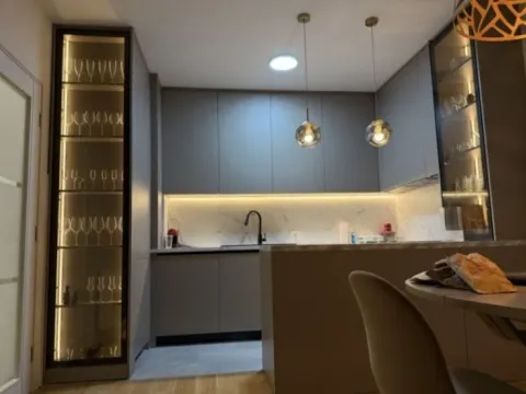 Izdavanje, jednosoban stan, 74m², Central Point, Podgorica - image 2