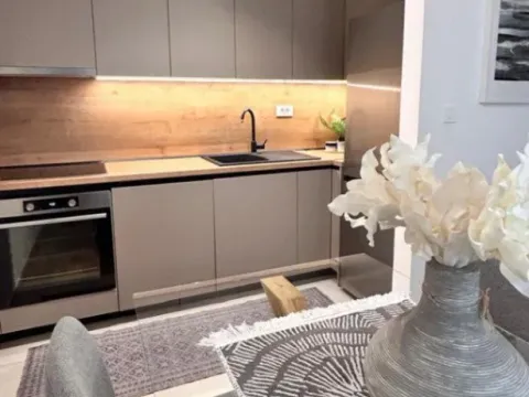 Izdavanje, jednosoban stan, 45m², City Kvart, Podgorica - image 4