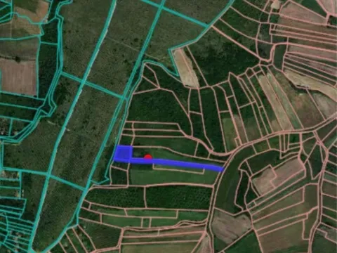 Prodaja, plac, 12000m², Alibegovac, Petrovaradin - image 3