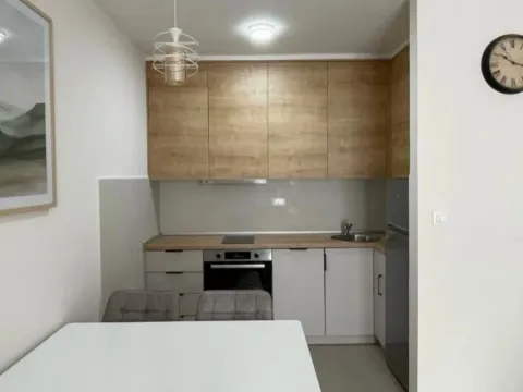 Izdavanje, jednosoban stan, 45m², Zabjelo, Podgorica - image 4