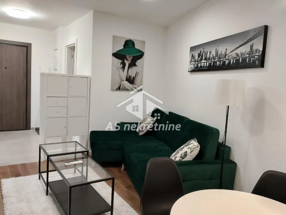 Izdavanje, stan, 40m², Hala Pionir, Palilula Sve Podlokacije