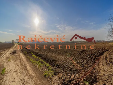 Prodaja, plac, 7700m², Zemun Sve Podlokacije, Beograd - image 5