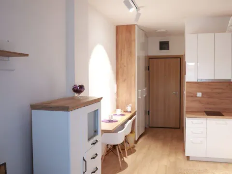 Rent, studio apartment, 30m², Budva, Crna Gora - image 22