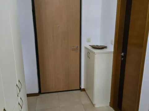 Izdavanje, dvosoban stan, 70m², Stari Aerodrom, Podgorica - image 16