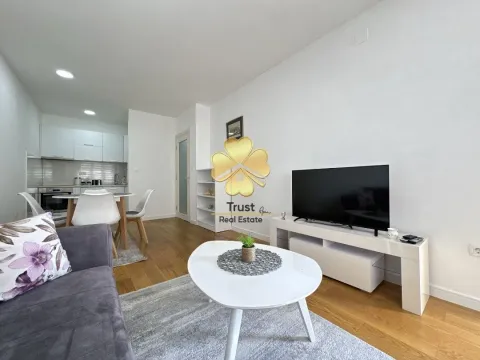 Rent, one bedroom apartment, 50m², Central Point, Podgorica - image 3