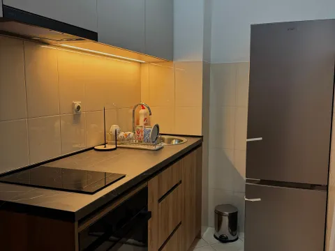 Rent, studio apartment, 27m², Zabjelo, Podgorica - image 3