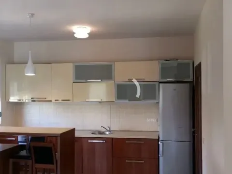 Rent, house, 262m², Zabjelo, Podgorica - image 11