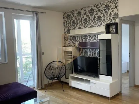 Izdavanje, dvosoban stan, 55m², Zemun Sve Podlokacije, Beograd - image 3