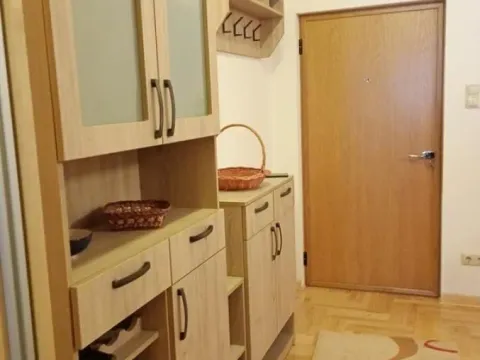 Izdavanje, dvosoban stan, 55m², Vračar Sve Podlokacije, Beograd - image 13