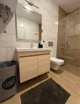 Modernly equipped bathroom with a walk-in shower and vanity. - image 6