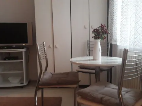 Stan-na-dan, garsonjera, 25m², Vrbas, Novi Sad - image 4