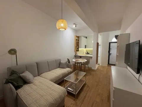 Izdavanje, jednosoban stan, 38m², Zabjelo, Podgorica - image 1