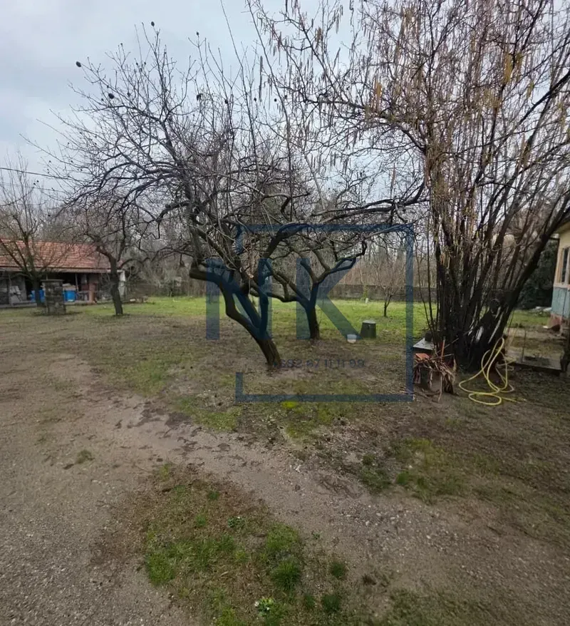Dvorište sa drvećem i pomoćnim objektom u pozadini.