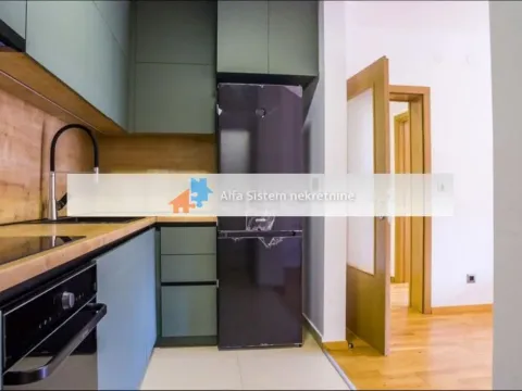 Izdavanje, dvosoban stan, 58m², Savski Venac, Beograd - image 3