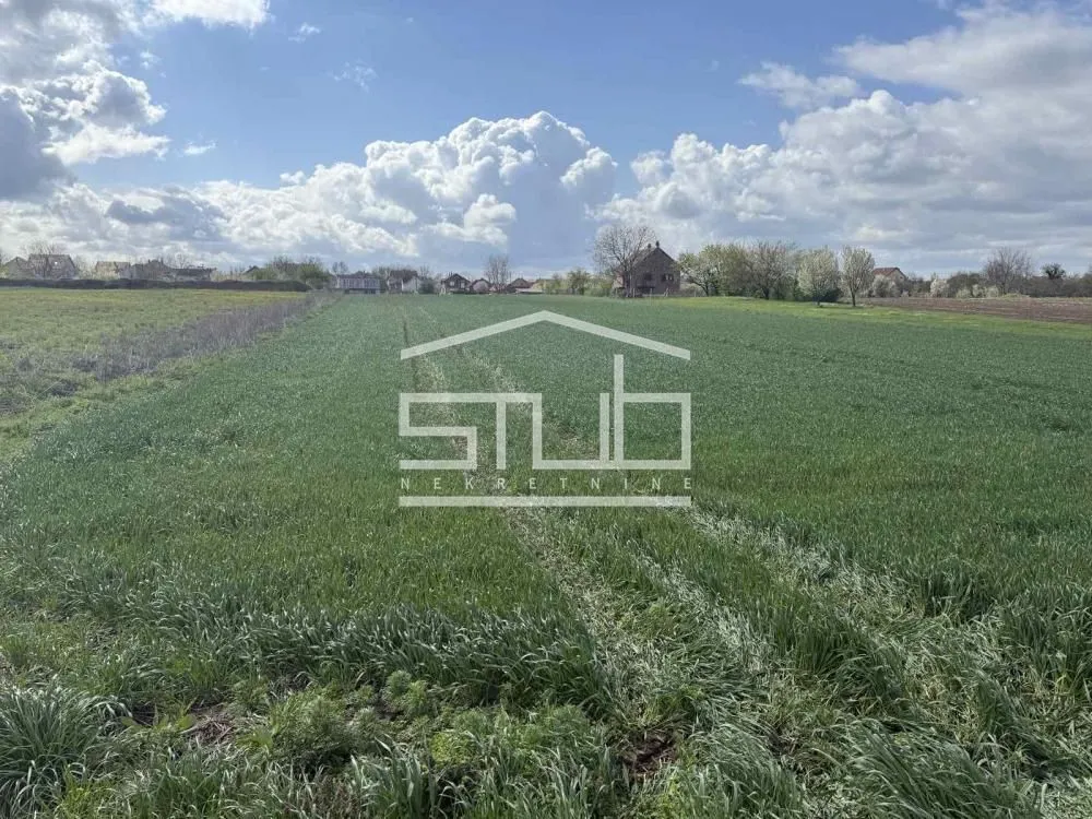 Prodaja, plac, 5000m², Dobanovci, Surčin
