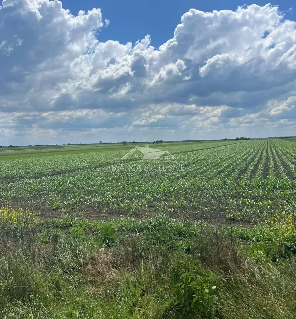 Prodaja, plac, 24200m², Pecinci, Srbija