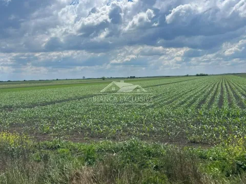 Zemljište in Pecinci