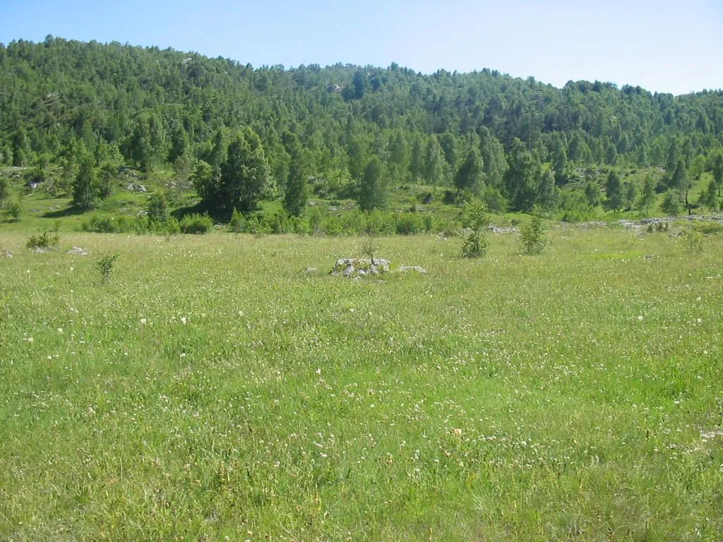Prodaja, plac, 4696m², Žabljak, Crna Gora
