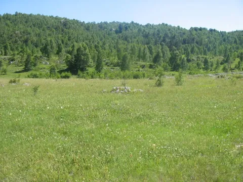 Prodaja, plac, 4696m², Žabljak, Crna Gora - image 2