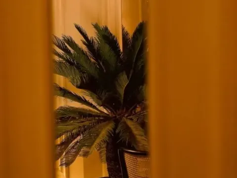 Prodaja, ugostiteljski objekat, 300m², Stari Grad, Beograd - image 6