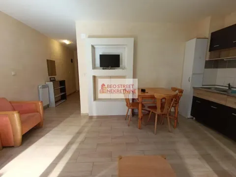 Izdavanje, dvosoban stan, 41m², Olimp, Zvezdara Sve Podlokacije - image 3