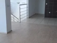 Izdavanje, poslovni prostor, 200m², Nova Pazova, Stara Pazova - image 7