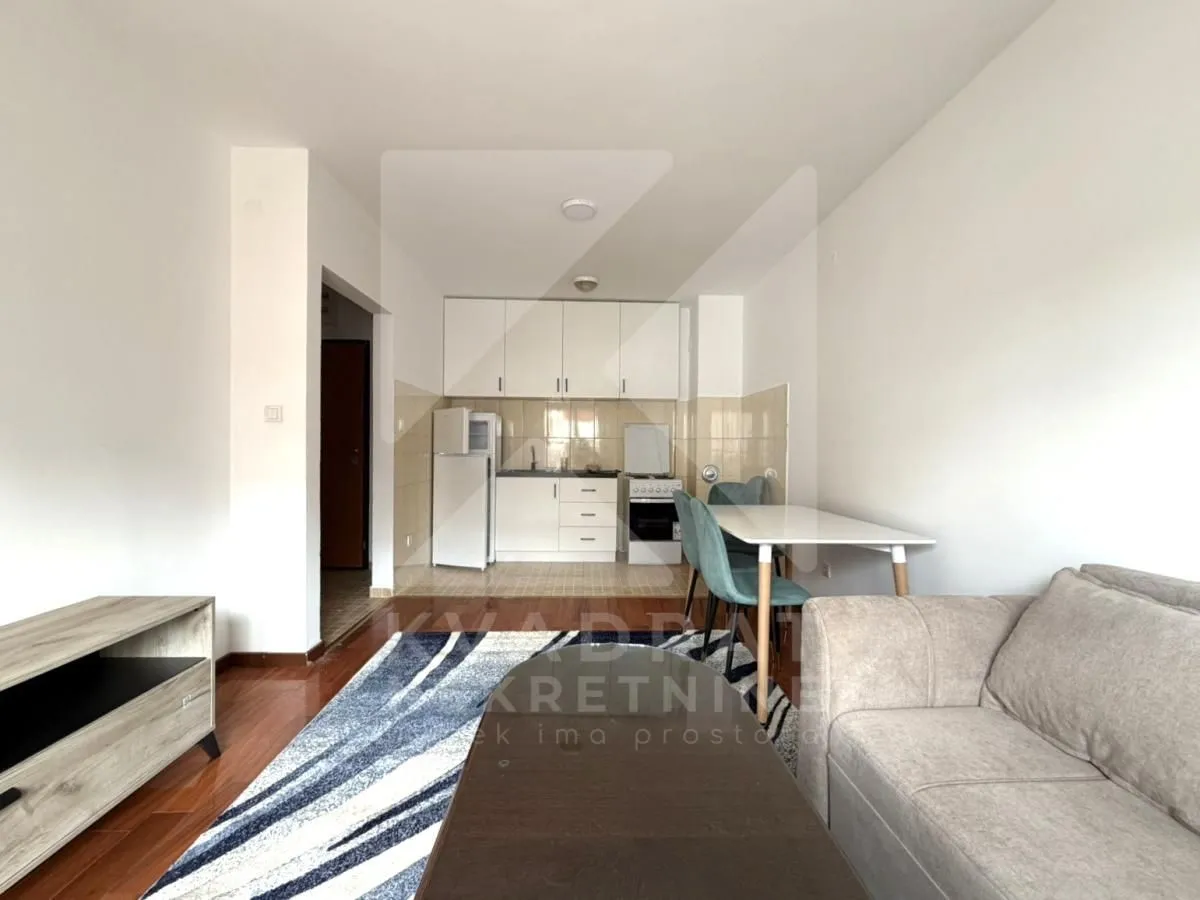 Rent, one bedroom apartment, 40m², Zabjelo, Podgorica