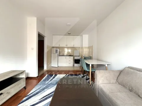 Rent, one bedroom apartment, 40m², Zabjelo, Podgorica - image 1
