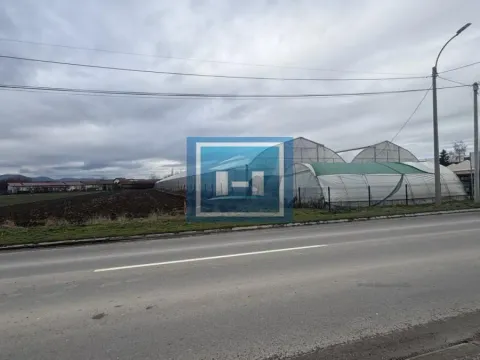 Prodaja, plac, 4622m², Jagodina, Srbija - image 3