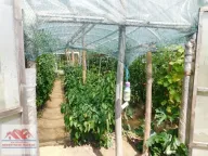 Prodaja, kuća, 81m², Knić, Srbija - image 28