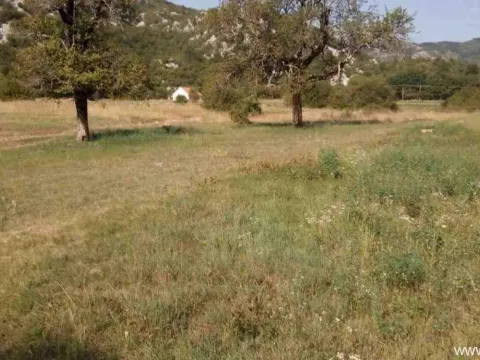 Sale, land lot, 8500m², Grahovo, Nikšić - image 2