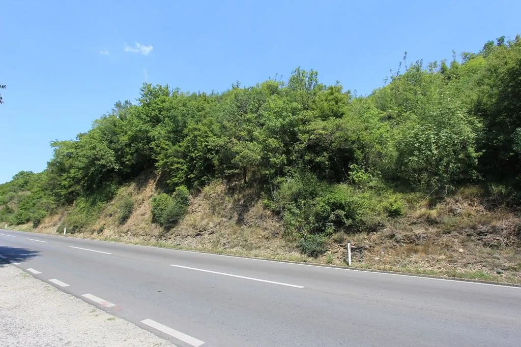 Plac pod šumom pored puta.