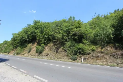 Plac pod šumom pored puta. - image 3