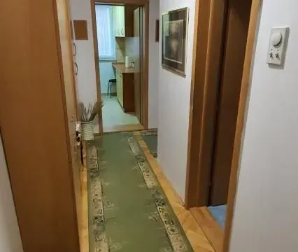 Izdavanje, dvosoban stan, 52m², Rotkvarija, Novi Sad Sve Podlokacije - image 17