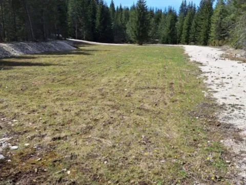 Prodaja, plac, 6750m², Podgora, Žabljak - image 11